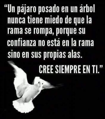 un pajaro posado en un arbol