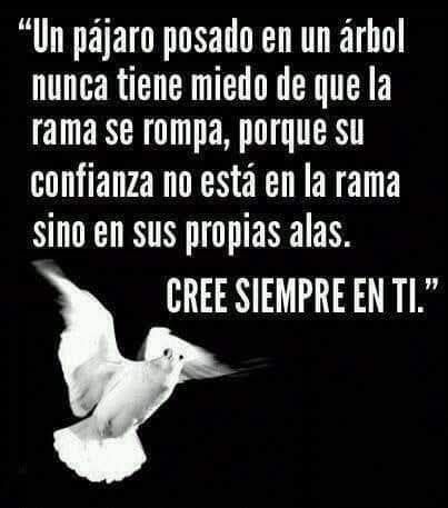 un pajaro posado en un arbol